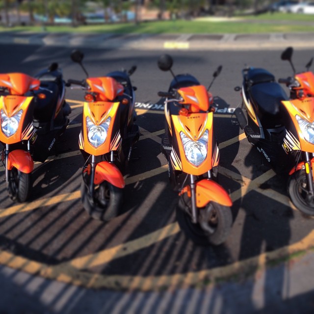 Kona Moped Rentals Big Island Moped Rentals KailuaKona, Hawaii